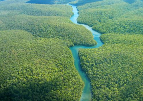 Amazon Iquitos 1