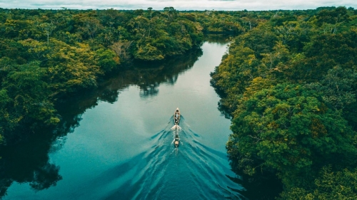 Amazon River 05
