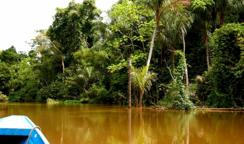 Amazon River 07