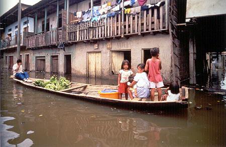 Amazon Iquitos 4