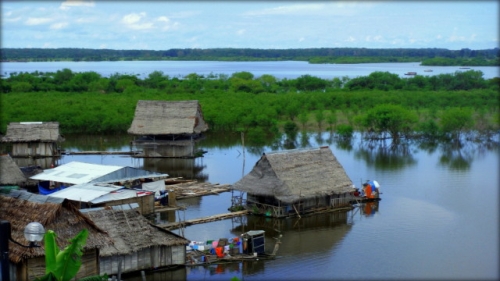 Amazon River 3