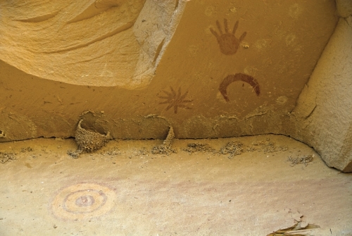 Petroglyphs on Penasco Blando trail