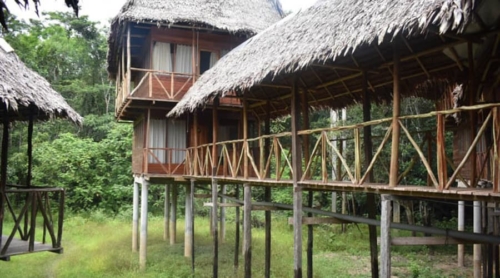 5 Tahuayo Lodge rooms