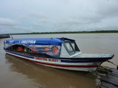 Amazon River 5